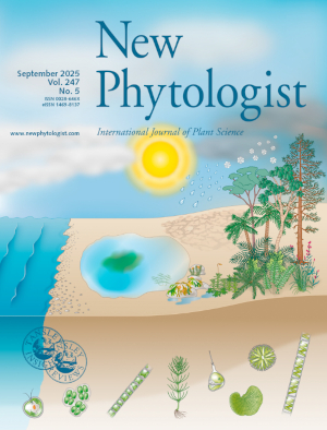 New Phytologist 2025